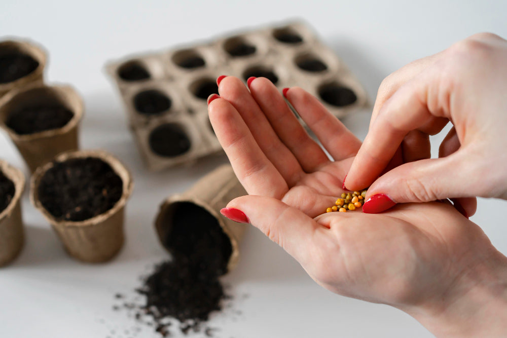 Winter sowing – zimowy wysiew nasion w butelkach