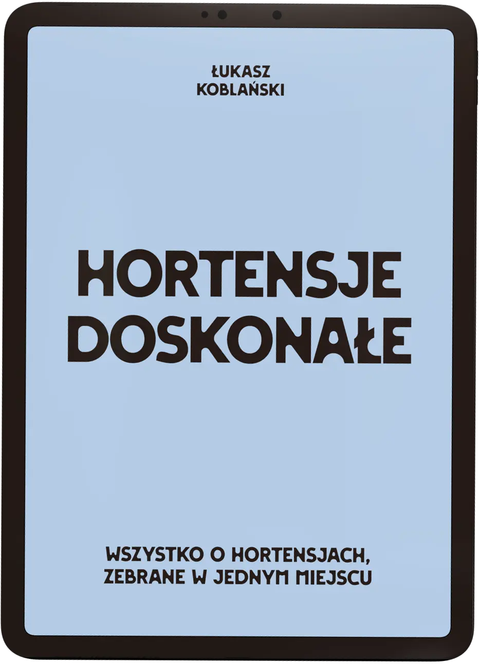 Hortensje Doskonałe