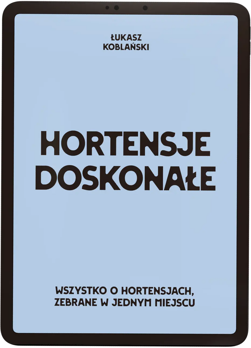 Hortensje Doskonałe